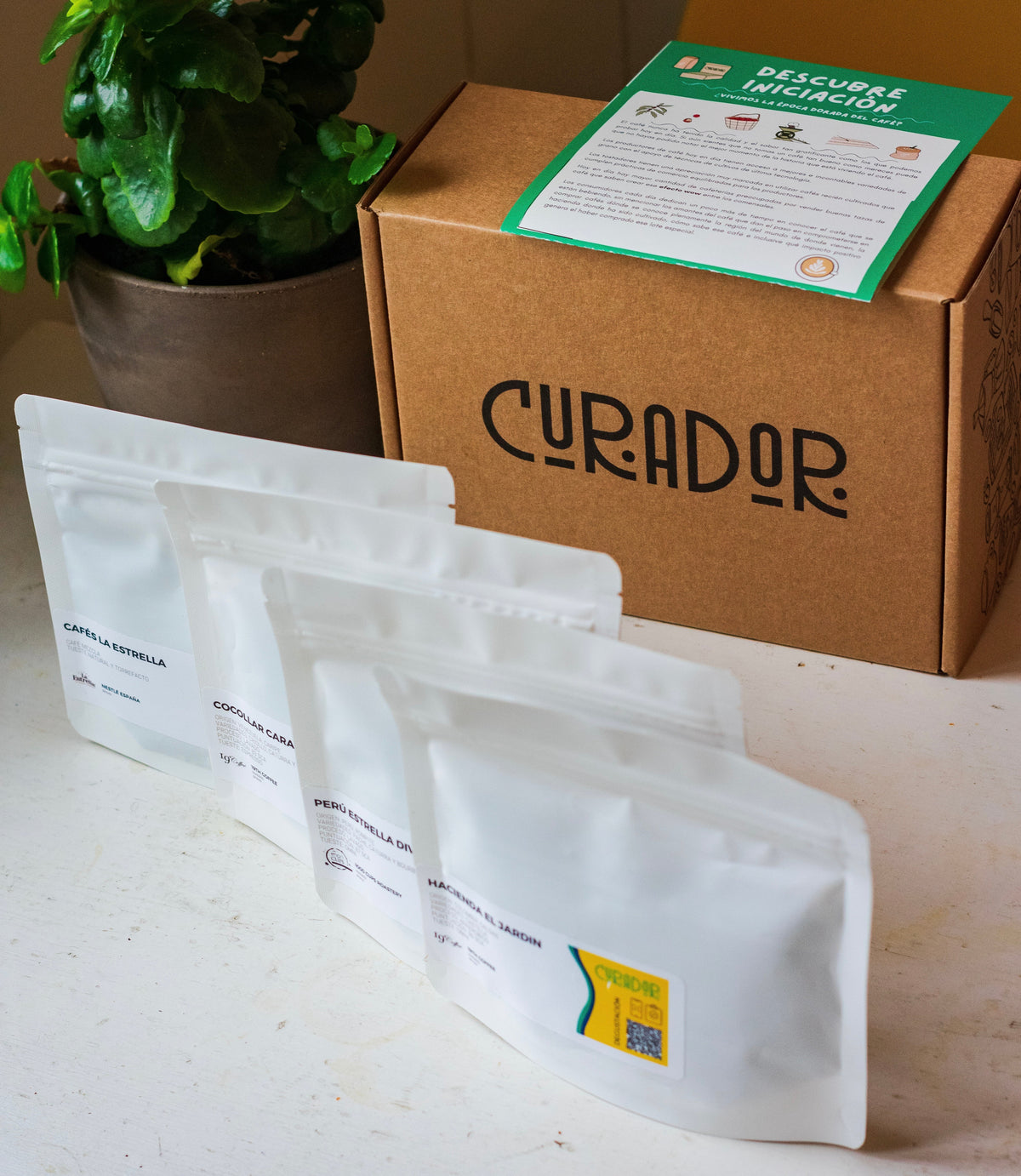 Disfruta de la mejor Suscripción de Café en Europa y recibe granos frescos, de calidad directamente en tu casa.