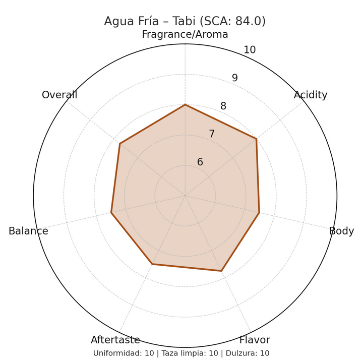 Perfil sensorial del café Agua Fría Tabi con notas de avellana, cacao, nuez moscada y vainilla, intensidad balanceada y puntaje SCA.